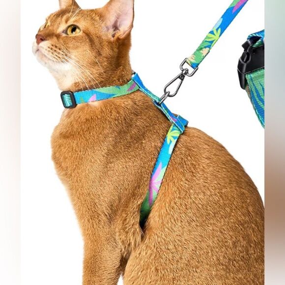 TIESOME Light Blue Cat Harness & Leash - Picture 1 of 8